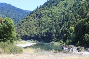 The Bluff Creek drainage.