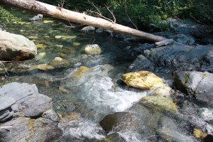 Babbling Bluff Creek