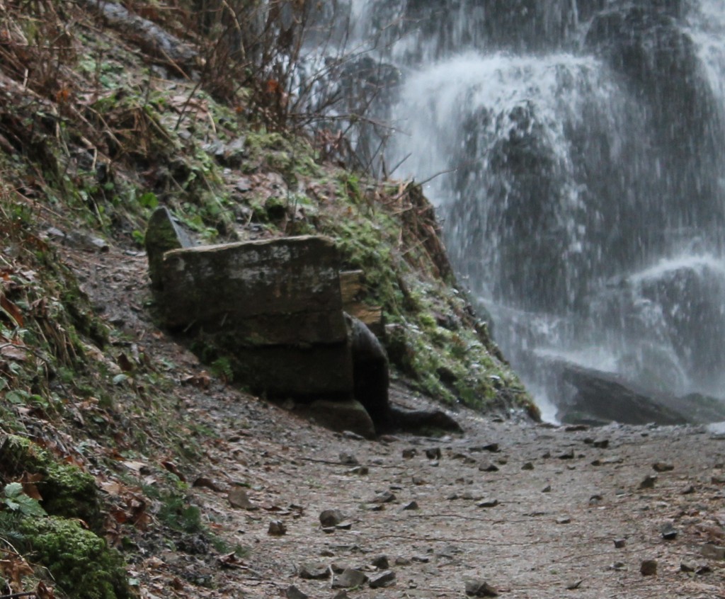 Fairy Falls bench